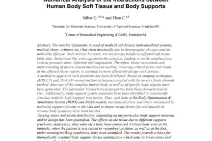 Numerical Analysis of the Interactions between Human Body Soft Tissue and Body Supports