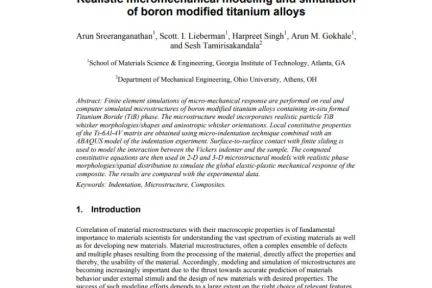 Realistic micromechanical modeling and simulation of boron modified titanium alloys