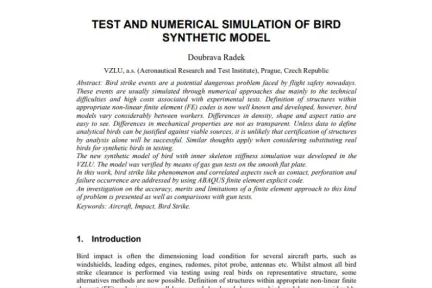 TEST AND NUMERICAL SIMULATION OF BIRD SYNTHETIC MODEL