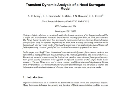 Transient Dynamic Analysis of a Head Surrogate Model
