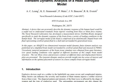 Transient Dynamic Analysis of a Head Surrogate Model