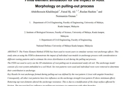 Finite element simulation for the impact of Root Morphology on pulling-out process