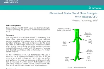 Abdominal Aorta Blood Flow Analysis with Abaqus/CFD