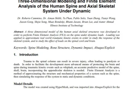 Three-Dimensional Modeling and Finite Element Analysis of the Human Spine and Axial Skeletal System Under Dynamic