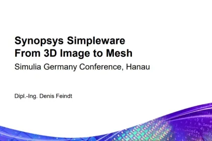 Synopsys Simpleware From 3D Image to Mesh