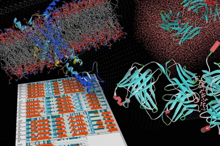 BIOVIA Discovery Studio Simulation for Biotherapeutics