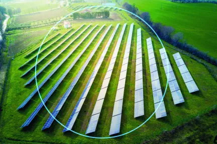 Shaping the Circular Economy through Collaboration and Sustainable Innovation