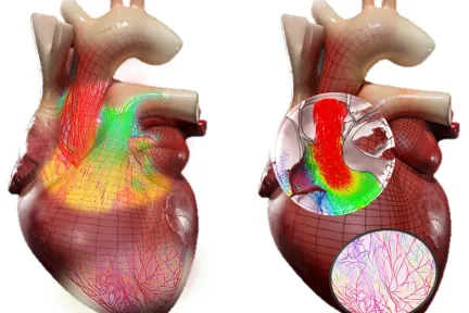 ダッソー・システムズ、リビング・ハート・プロジェクトにAIを活用した