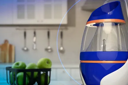 Home & Lifestyle > Dassault Systemes