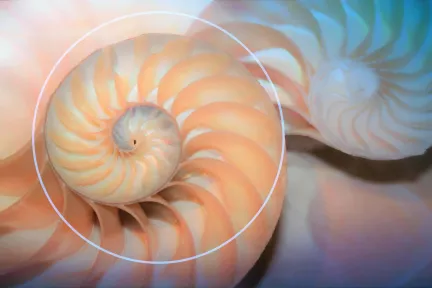 Biomimicry Drives Circular Innovation