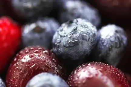 Food & Beverage > Dassault Systèmes®