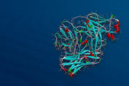 BIOVIA Discovery Studio Simulation > Dassault Systèmes