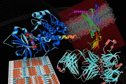 Discovery Studio Simulation Biotherapeutics Datasheet