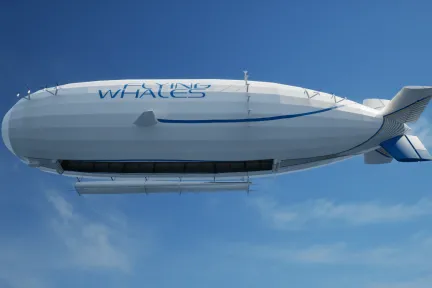 FLYING WHALES