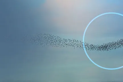 AURA