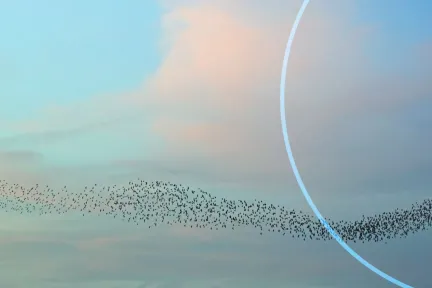 3DEXPERIENCE Resource Center | Dassault Systèmes
