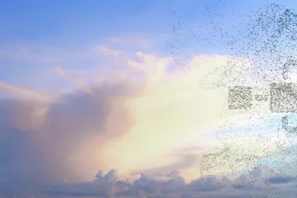 3DEXPERIENCE Agentic Process Orchestration > Dassault Systemes