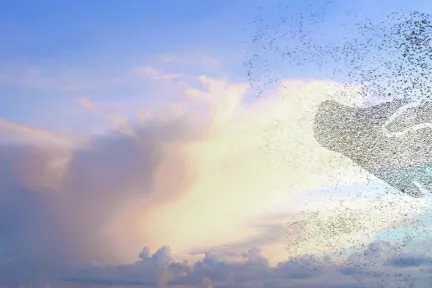 3DEXPERIENCE Collaborative Innovation > Dassault Systemes