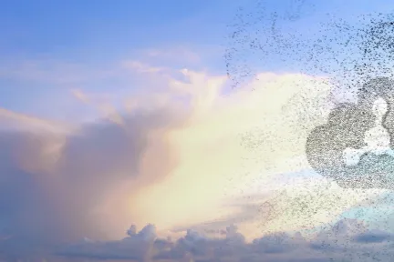 3DEXPERIENCE Enterprise Data Science > Dassault Systemes