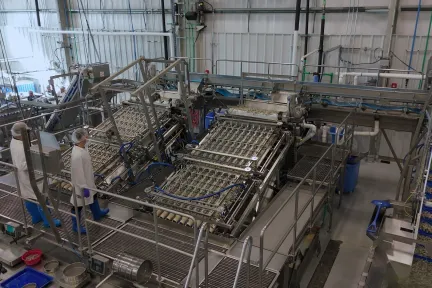 Laitram Machinery Advances Food-Processing Equipment Design