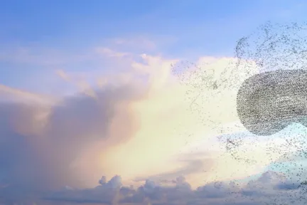 3DEXPERIENCE Sense Experience > Dassault Systemes