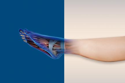 Digital Orthopaedics