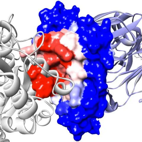 Antibody aggregation - Hotspot prediction > Dassault Systèmes