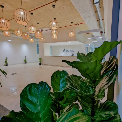 A Glimpse of Our Offices 3