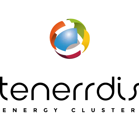 ModeliScale > Logo > Tenerrdis > Dassault Systèmes®