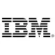 IBM logo