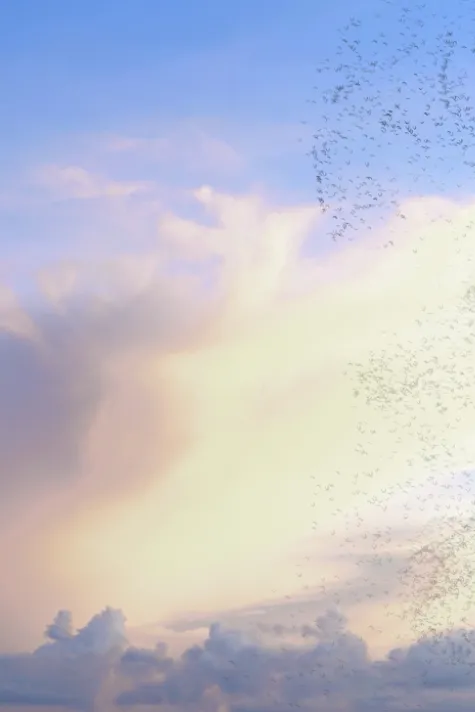 3DEXPERIENCE Enterprise Data Science > Dassault Systemes