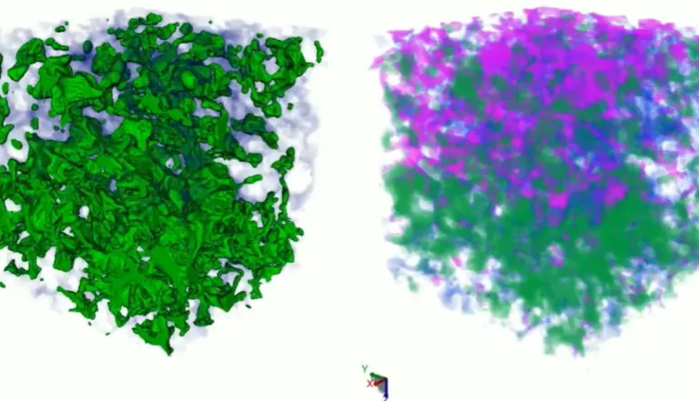 Oil and Gas > Dassault Systemes