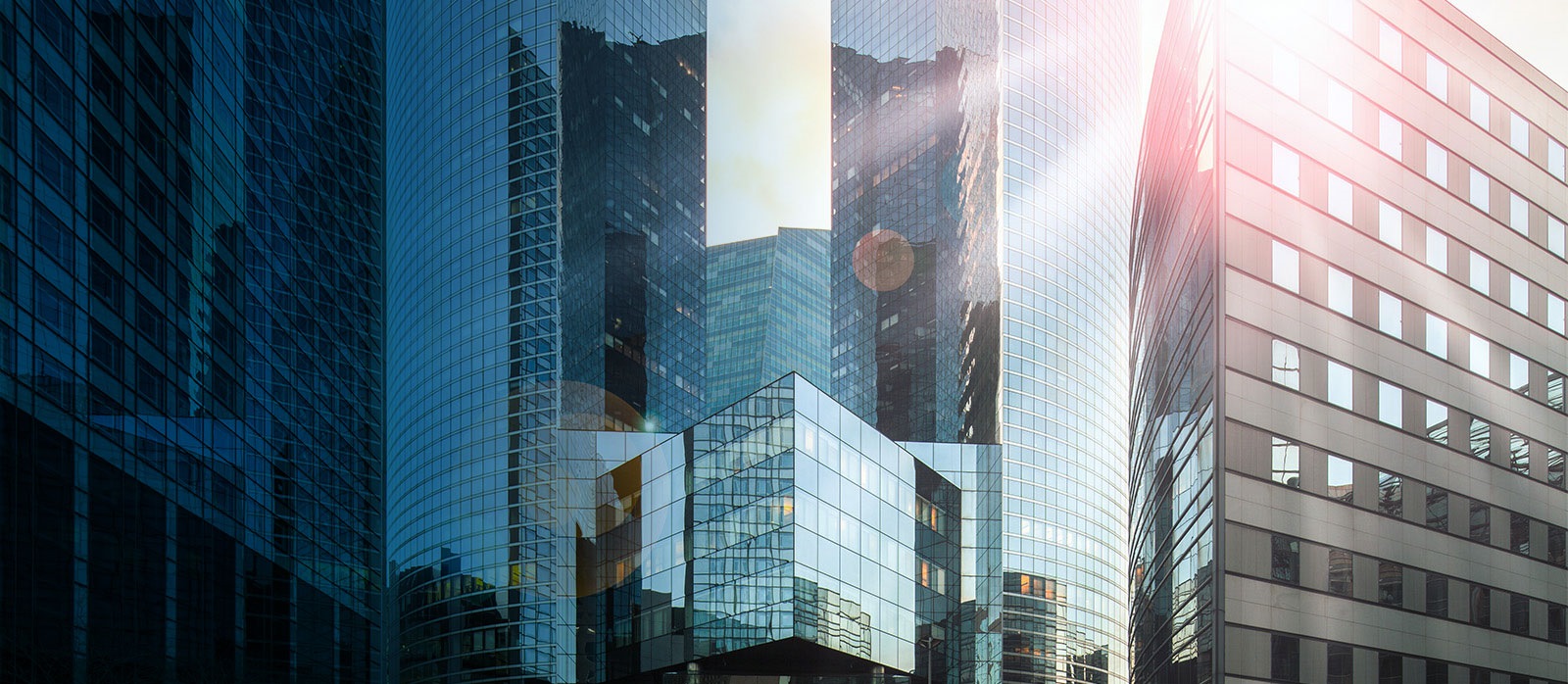 Financial Results Second Quarter 2021 Results