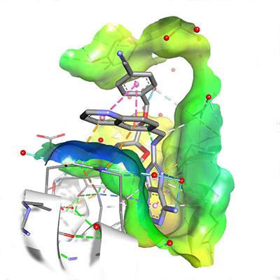 De l'atome à la ville - Protéines > Dassault Systèmes®
