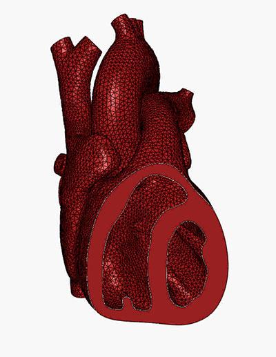 De l'atome à la ville - Recherche cardiovasculaire > Dassault Systèmes®