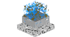 DigitalROCK > LM1 icon> Dassault Systèmes® 
