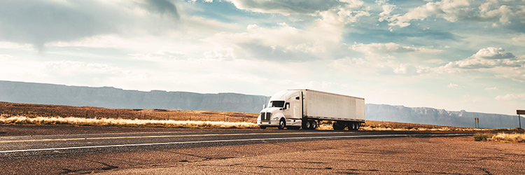 trucking > truck > Dassault Systèmes®